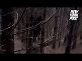 WATCH: Mysterious black figure hides behind tree before vanishing