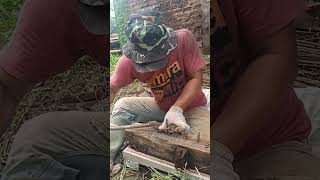 Download lagu BEGEL MAMBO#lagusunda #dedimulyadi #funny #komedi #liriksholawatbusyro #komedisunda #lucu mp3 Download lagu BEGEL MAMBO#lagusunda #dedimulyadi #funny #komedi #liriksholawatbusyro #komedisunda #lucu mp3