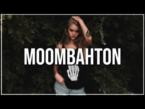 Moombahton Mix 2020 Vol.1 | The Best of Dancehall & Moombahton Popular Songs Remixes 2020