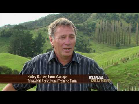 Training Maori Farm Managers