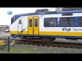 Trein in de remmen voor herten op het spoor in Zandvoort