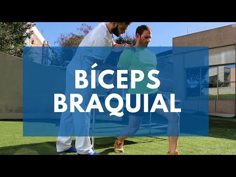 Estiramiento del Biceps Braquial