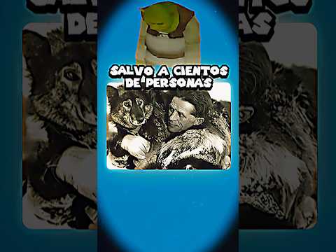 Jamás te olvidaremos balto y Togo 🫡❤️ #curiosidades