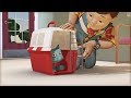 Cats And Dogs Bob The Builder