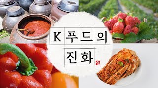 K 푸드에 대한 진지한 보고서 | K푸드의 진화 ep.0