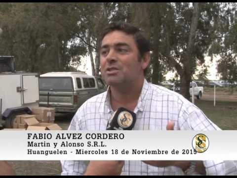 18-11-15 Nota Fabio Alvez Cordero - Martin y Alonso S.R.L. - Huanguelen.