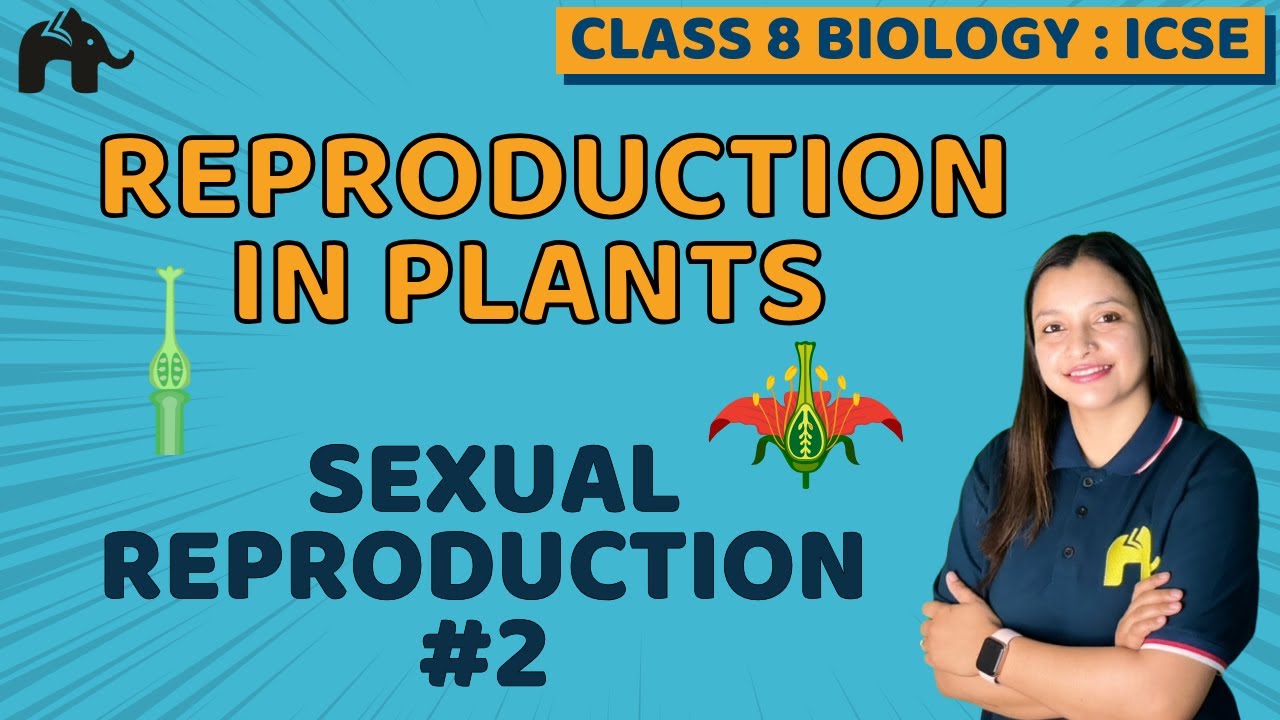 Reproduction in Plants Class 8 ICSE Biology | Chapter 2 | Selina | Sexual Reproduction#2