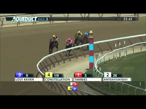 Lost Raven - 2016 Cicada Stakes