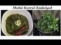 Mulai Keerai Kadaiyal(Easy & Tasty)முளைக் கீரை கடையல்