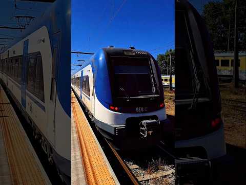 TREN MODELO #SFE202: saliendo desde la Estación San Rosendo #efe #trenesdechile #train #nostalgia