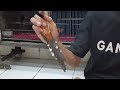 Stock Full Bosque Gacoran Materi Dan Ekor Panjang Siap Kirim Ke Seluruh Indonesia