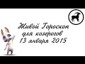 Гороскоп Козерог на 13 января от Зайки Zoobe 