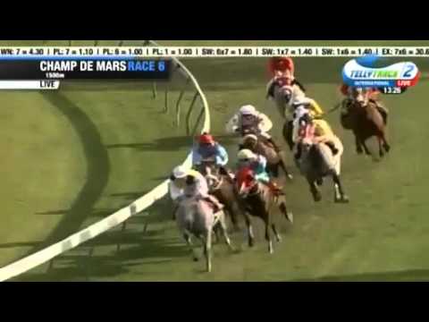 2016.04.16 La Coupe Du Cent Cinquantenaire (MRI) - Reim