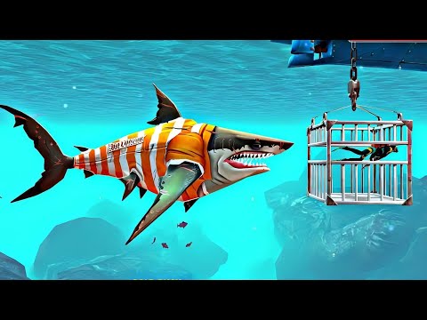 Megalodon Shark Attacks Cage Diver - Hungry Shark World - Megalodon Shark Attack & Best Gameplay