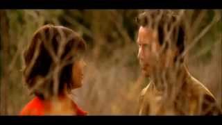 WISH  YOU WERE HERE - BEE GEES-