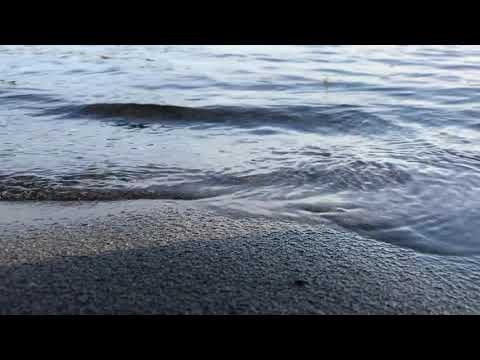 Juanita Beach Park | Kirkland, Wa