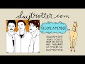 The End of the World - Hawks - Daytrotter Session