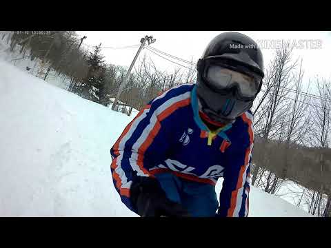 Sled dogs snowskates 2019.10.01