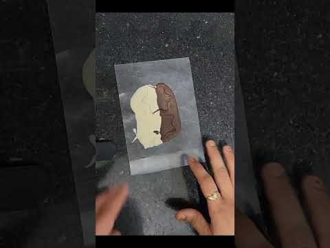 chocolate garnishing techniques #shortfeed #viral #trending #youtubeshort