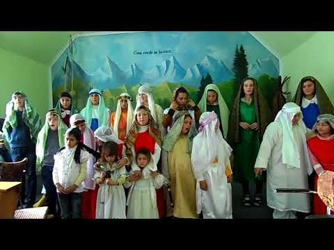 Corul copiilor crestine din raciu pilda celor 3 copaci