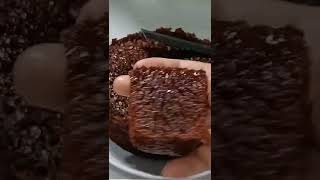 Download lagu resep bolu karamel sarang semut tanpa mixer tanpa oven #shorts mp3 Download lagu resep bolu karamel sarang semut tanpa mixer tanpa oven #shorts mp3