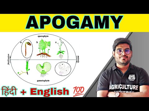 defination allopolyploid allopolyploid kya hai allopolyploid in hindi what is allopolyploid