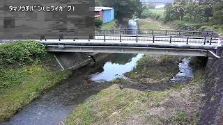 玉の内橋映像監視局