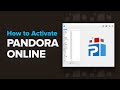 Activación de acceso a Pandora Online (1 año) Vista previa  3