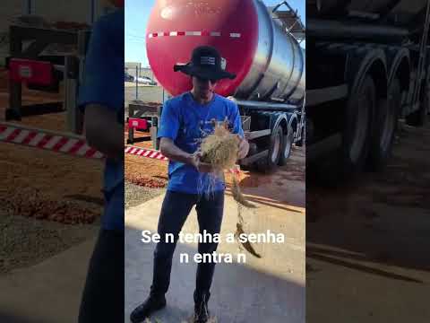 interior de São Paulo boituva