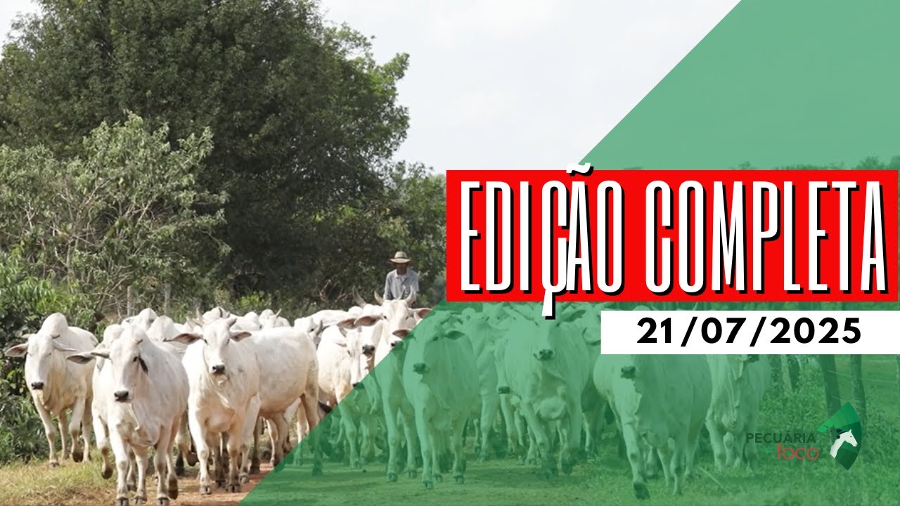 PECUÁRIA EM FOCO - EDIÇÃO COMPLETA - 21/07/2025