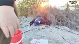 Download lagu Girl Goes Alone In The Forest To Find Food Misunderstood By Her Lover mp3