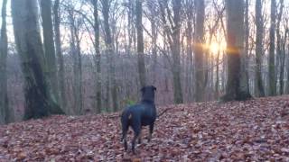 Sov gott min älskade prinsessa