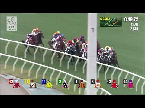 港經佬賽事重溫｜27-12-2021 沙田日馬第七場賽事重溫 (286)｜總理 PRIME MINISTER (D288)｜梁家俊 K C Leung｜姚本輝 P F Yiu｜免費心水及賽馬貼士