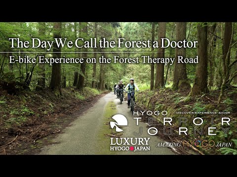 The Day We Call the Forest a Doctor—E-bike Experience on the Forest Therapy Road