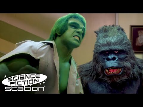 Hulk Meets A Gorilla! | The Incredible Hulk | Science Fiction Station