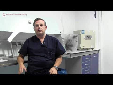 Tiempo de preservación de embriones