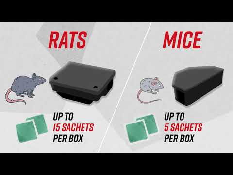 How to use Deadfast Mouse & Rat Killer Plus Sachets