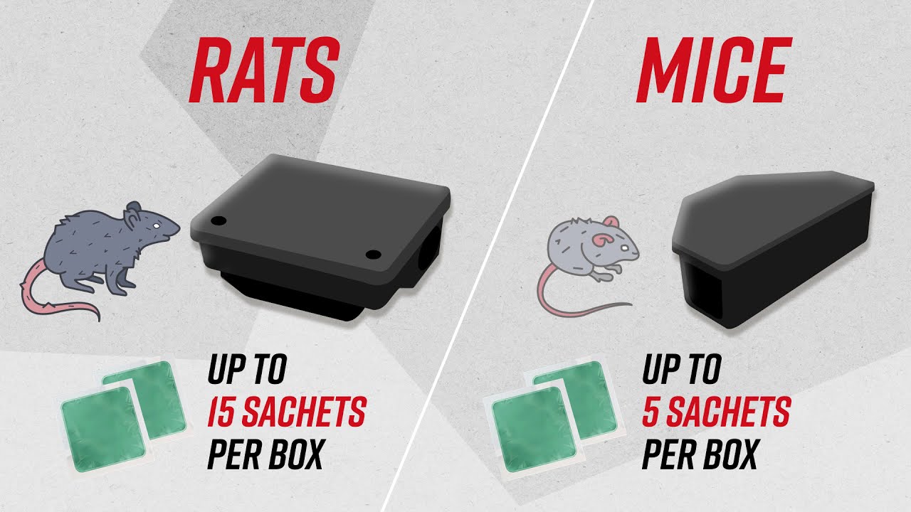 How to use Deadfast Mouse & Rat Killer Plus Sachets