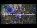 Malare Ninne Kanathirunnal Whatsapp Status Kadhlal Mannan Edit