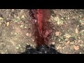 Alien Vs Ninja 2