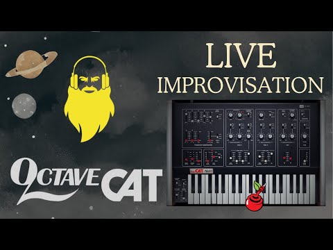 Ambient Improvisation on Octave Cat by Cherry Audio