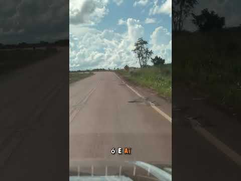 MT-140 entre Sinop e Santa Carmem