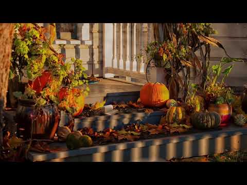 Autumn Porch 🍁 — Nature & Bird Sounds, Wind Chimes, Rustling Leaves 🎃🍂