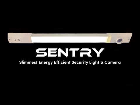 Sentry Security Camera, Light & Strobe