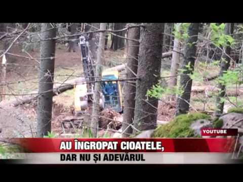 Au îngropat cioatele, dar nu și adevãrul