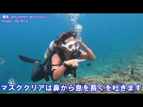 PADIダイビングライセンス講習 マスククリア 全水 沖縄