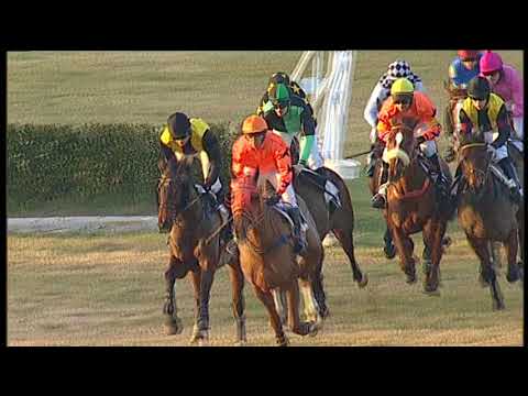 2018-01-28 Corsa 6 metri 3500 - 34^ Corsa Siepi di Pisa