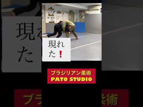 しがみついて来た人間を投げ捨てる人間【#ブラジリアン柔術 スパーリング】　#shorts