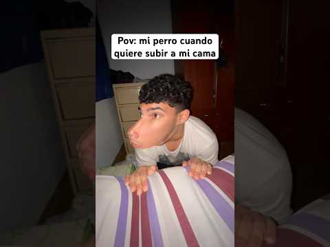 Cuando mi perro quiere subir a la cama IG: elnachetoo #argentina #humor #comedia #sketch #perro