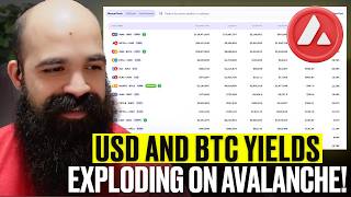 ¡Los rendimientos del USD y del BTC explotan en Avalanche!